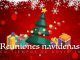 Las enfermeras y enfermeros ofrecen consejos para evitar los contagios de COVID en las celebraciones navideñas en casa