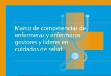 El Consejo General de Enfermería y la Asociación Nacional de Directivos de Enfermería delimitan las competencias de la gestión enfermera