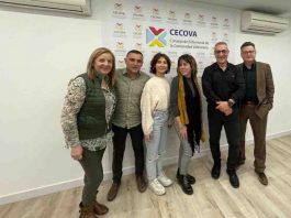 El CECOVA crea la Comisión Sociosanitaria para abordar los problemas de formación, bolsa de trabajo y coordinación de la enfermería sociosanitaria