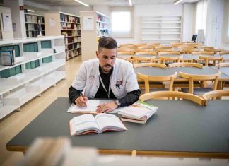 El Colegio te ofrece una nueva convocatoria de premios de investigación dotada con 55.000 euros
